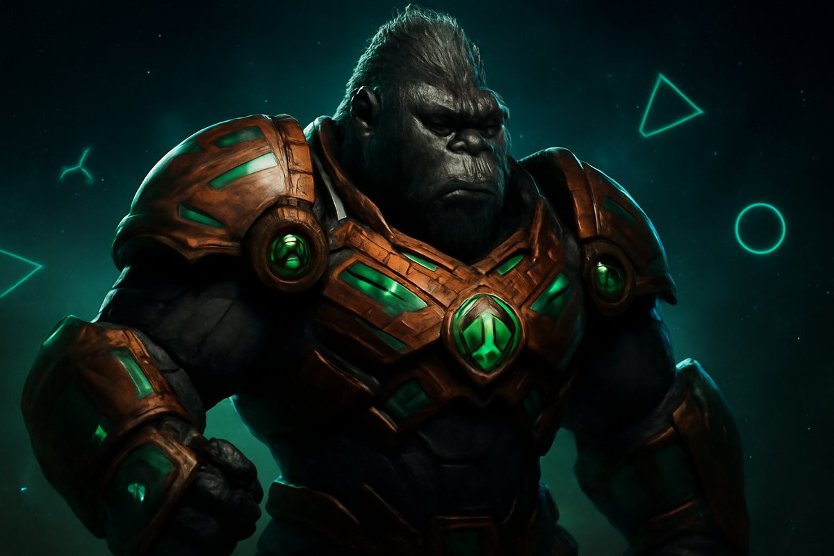 kingkongxo